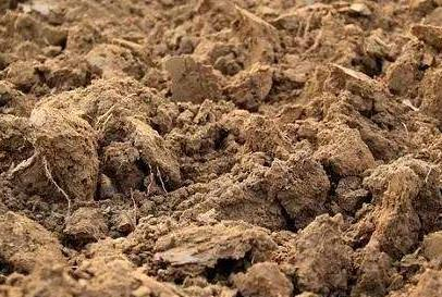 土壤檢測常規(guī)五項(xiàng)和可以出具報(bào)告需要何種資質(zhì)